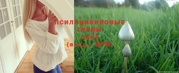 МДПВ Богородск