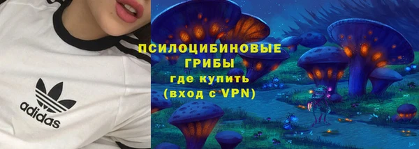 стафф Богданович