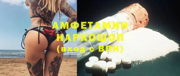 стафф Богданович