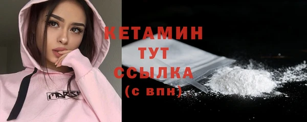шишки Богородицк