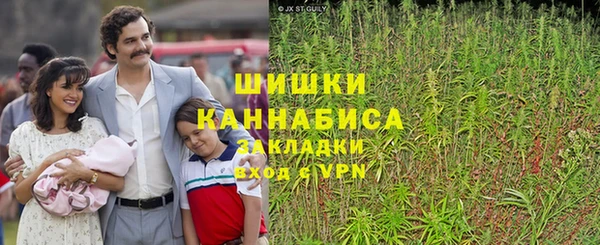шишки Богородицк