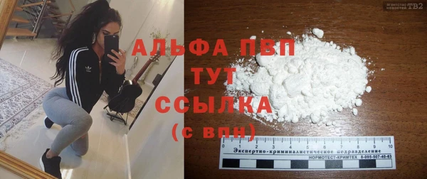 шишки Богородицк