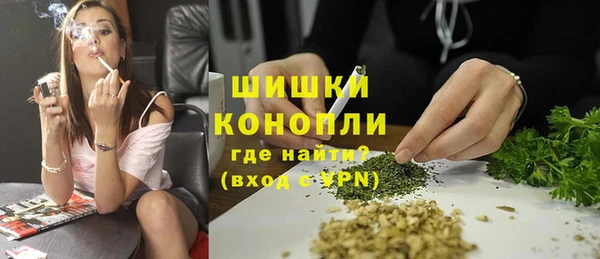 стафф Богданович