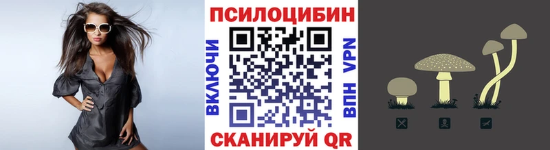 хочу   Межгорье  Псилоцибиновые грибы Psilocybine cubensis 